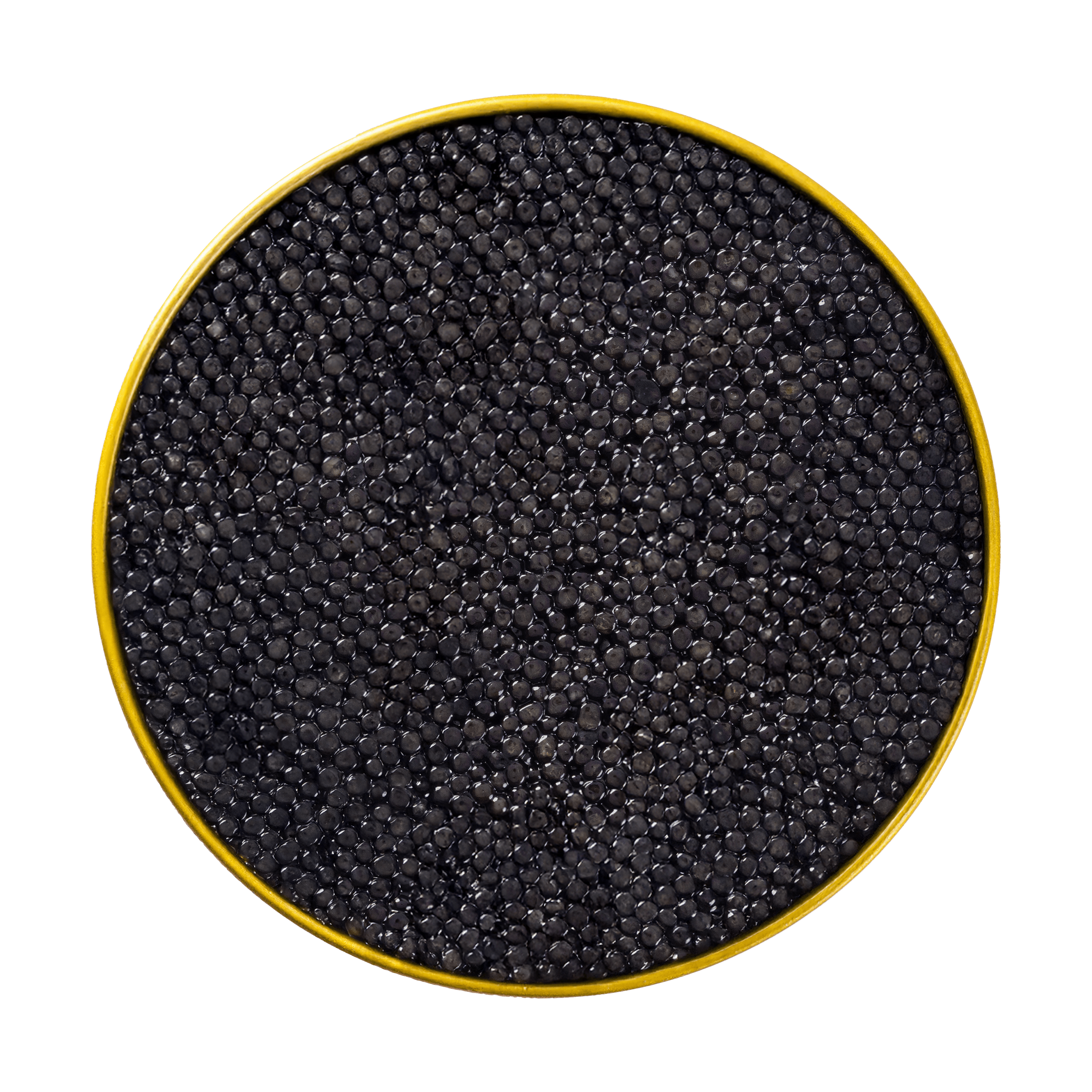 Black Baerii Shiver